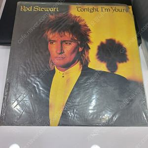 팝 lp 로드스튜어트 Rod Stewart