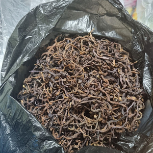 고사리 450g