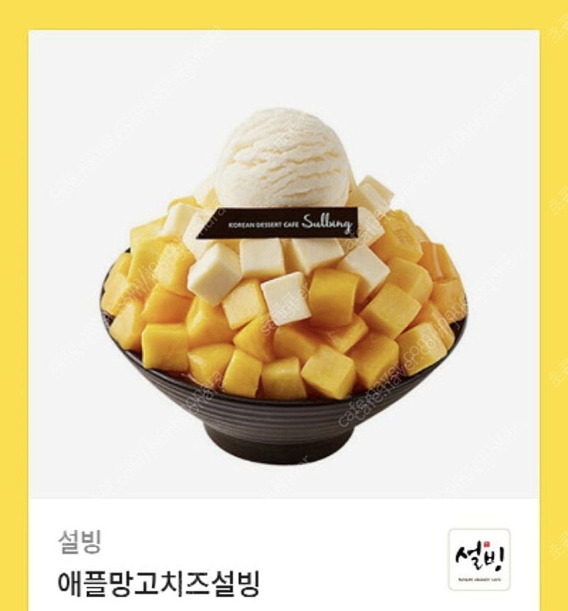 애플망고치즈 설빙 모바일쿠폰