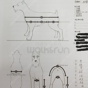 애견 휠체어