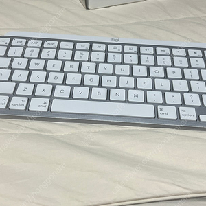 MX Keys mini for mac 로지텍 키보드