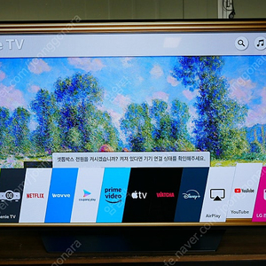 엘지 55인치 중고 티비 올레드 TV LG OLED55B8BNA