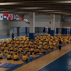 US NAVY 미해군 반바지 신품 새제품 오리지널 팔아요