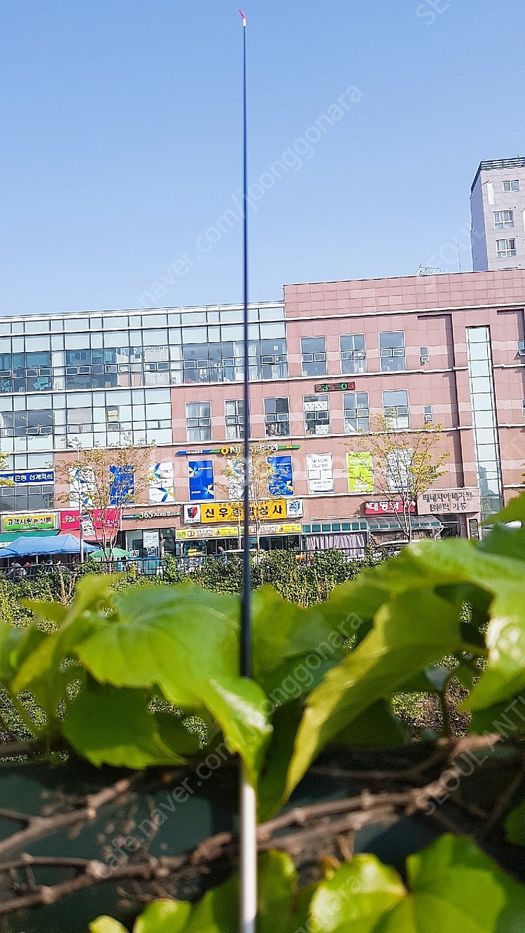 다이와 은어 낚시대--2