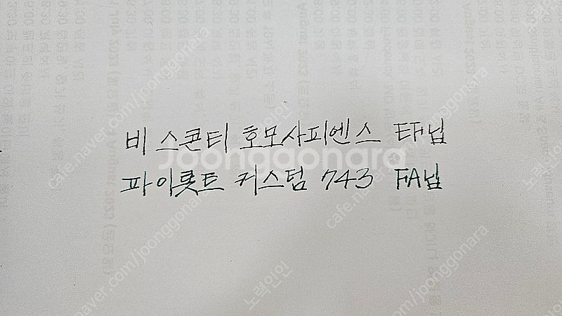 비스콘티 호모사피엔스 브론즈에이지 EF닙 만년필--9