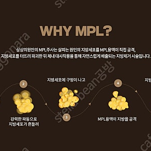 부산 상상의원 mpl양도합니다 2부위 6회