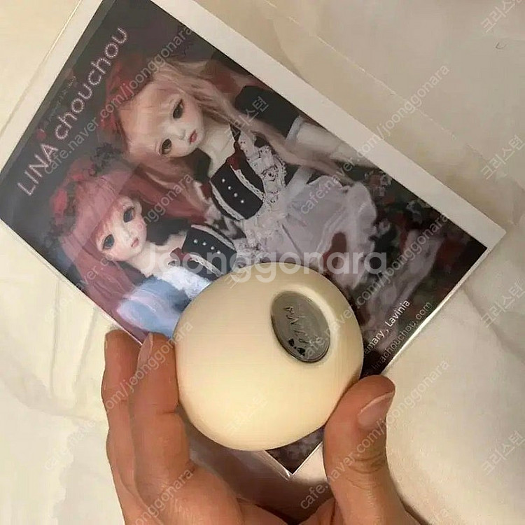 구체관절인형 리나슈슈 100체 한정 모어댄 스윗 로즈마...--2