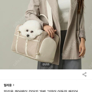 밀리옹 애견가방