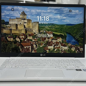 [LG]2019 그램 14Z990-GX50K i5/16GB/256GB