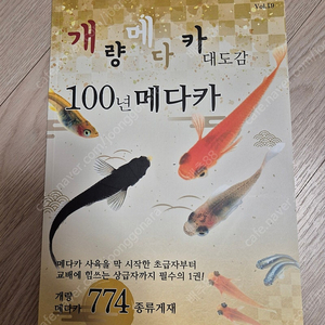 100년메다카 대도감