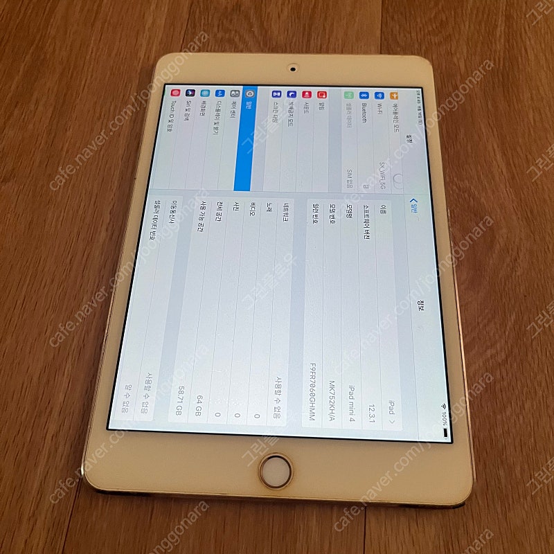 아이패드 미니4 64기가 셀룰러