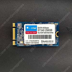 e-STAR M.2 2242 256GB SATA SSD 판매