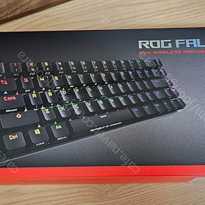 asus rog falchion적축 무선키보드