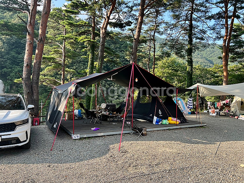 고투 렉타 타프--1