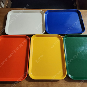 CAMBRO 캠브로 캠트레이 사각 트레이 컬러 쟁반 L 사이즈 팝니다