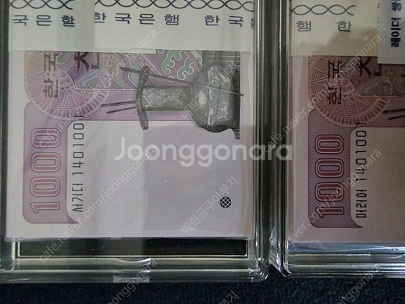 2차천원 쌍둥이다발 레이더포함--2