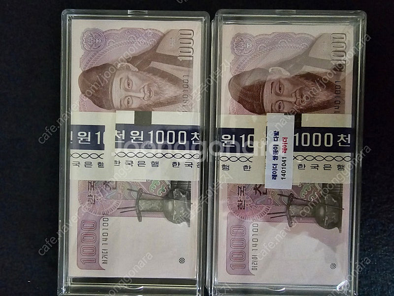 2차천원 쌍둥이다발 레이더포함--3