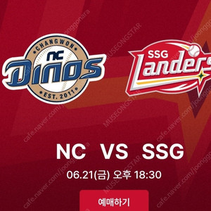 6.21 금 ssg랜더스 nc다이노스 문학 그린존 2매 정가이하