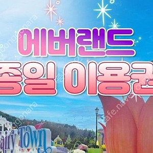 에버랜드 자유이용권(2매 6만원)