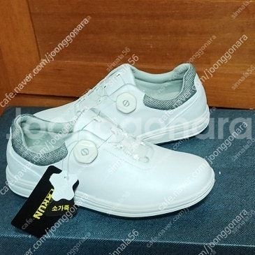 개그 소가죽 260 다이얼 골프화 운동화 새상품--0