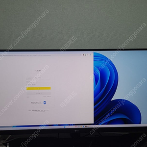 LG 34인치(21:9, UWQHD) 모니터 34WN750 판매