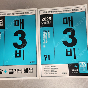 2025 수능대비 매3비