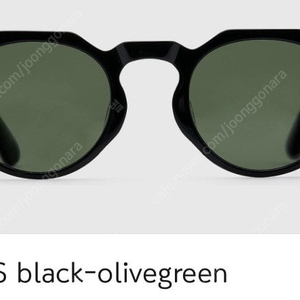 블루엘리펀트 선글라스 GINA-S black olivegreen 미착용