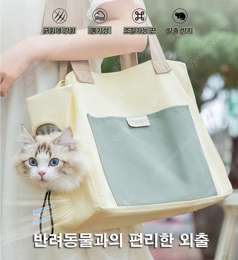 반려동물 고양이 강아지 이동 가방