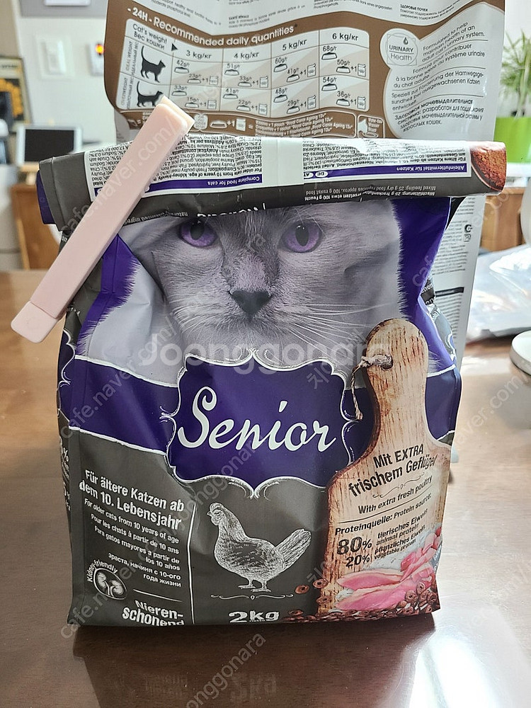 고양이 시니어사료--1