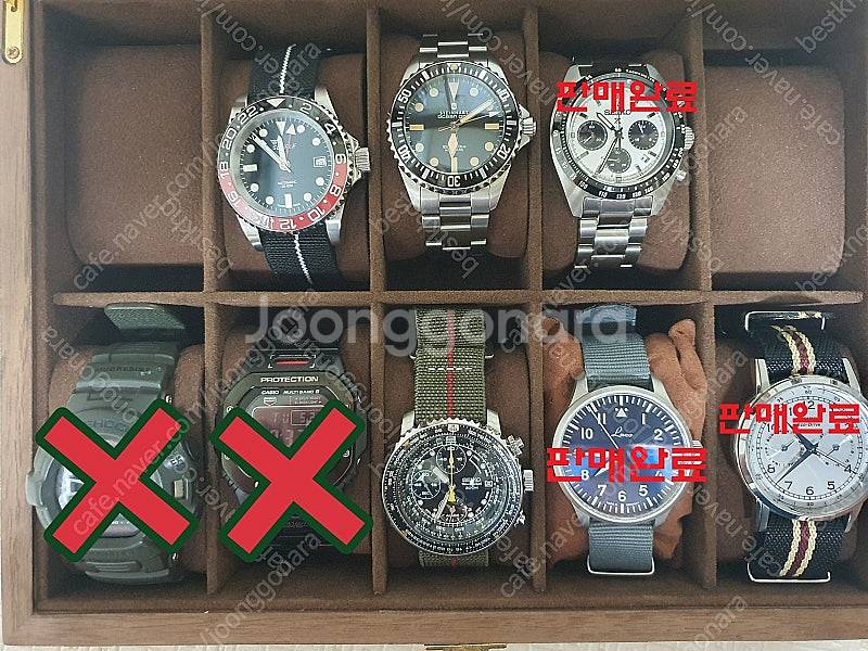 스쿠알레 코크 GMT 1545 판매합니다. 55만원--5
