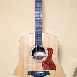 Taylor 210dlx