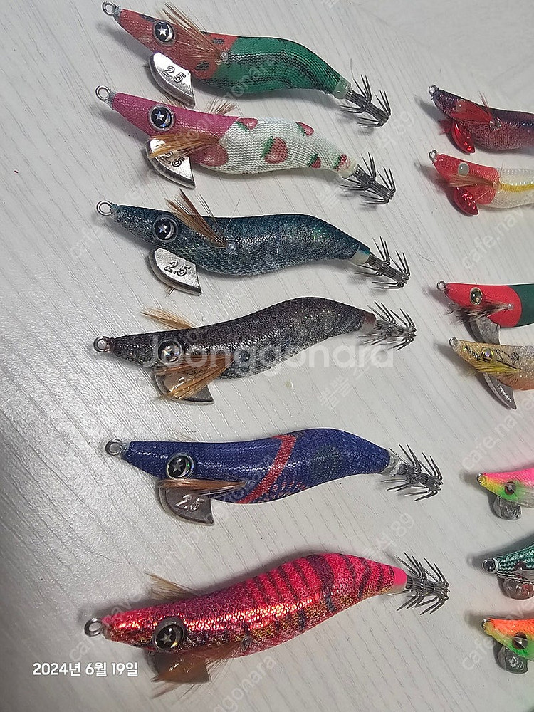 한치에기 팝니다(2)--1