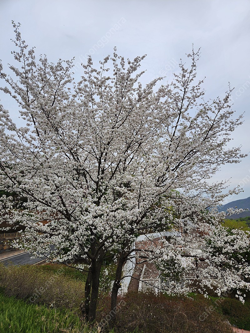 모두투어 상품권 대량으로 구입합니다.