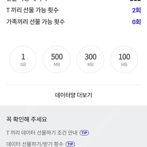 t데이터 2기가