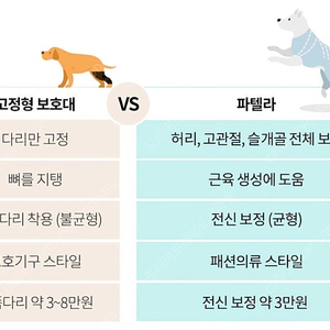 파텔라 보정 수트 팝니다 s사이즈 l사이즈