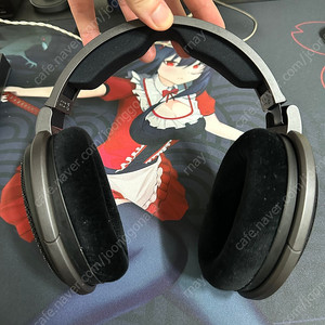 젠하이저 HD600