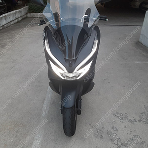 pcx125