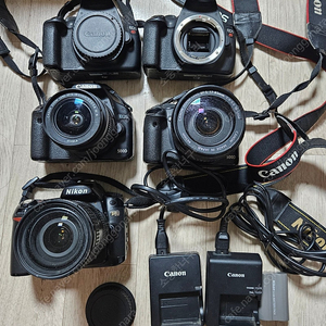 DSLR 카메라 일괄 판매 합니다.