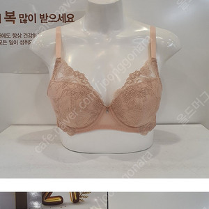 (새상품) 비비안 브라 (br6706)판매해요