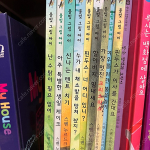 핀두스 시리즈