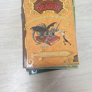 How to train your dragon(6권)