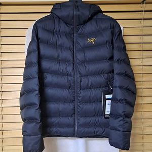 추가 인하 Arcteryx 아크테릭스 토륨 AR 후디 24k 블랙 새제품