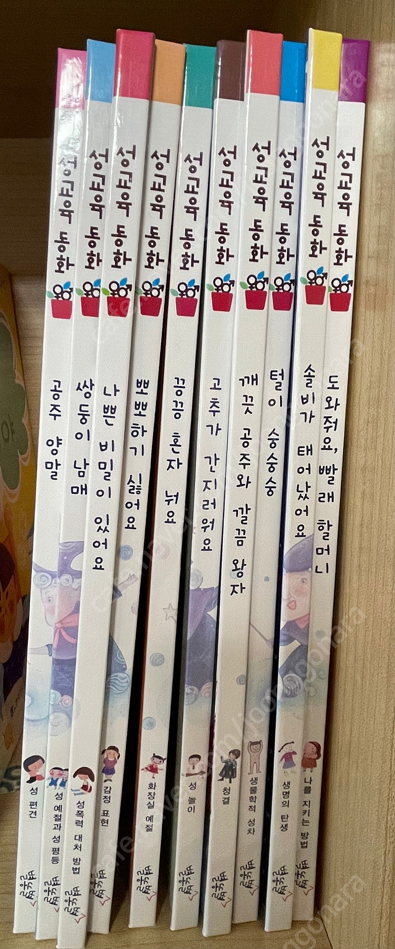 별똥별 성교육 동화(10권), 한국 가우스 인성동화(17권), 그레이트북스 지식이쏙쏙(12권)