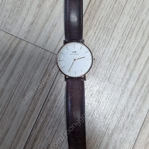 다니엘 웰링턴 36mm