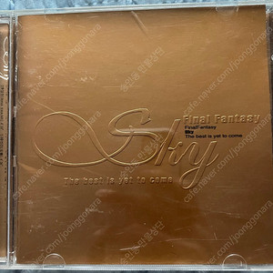 최진영(SKY) Final Fantasy CD