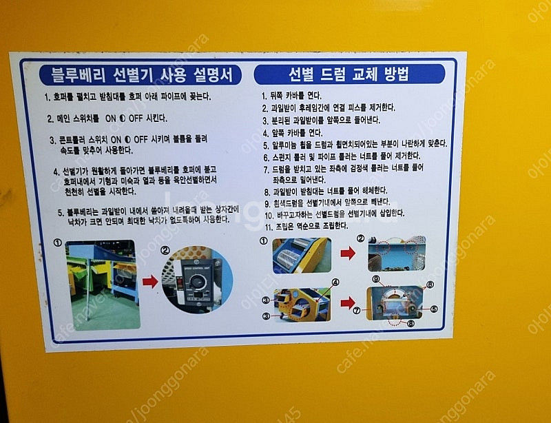 블루베리 선별기 DW-B004--9