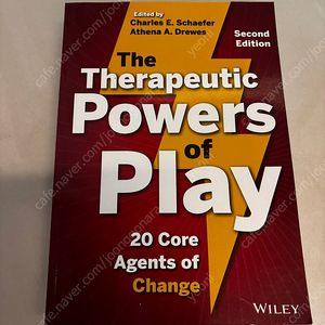 The Therapeutic Powers of Play