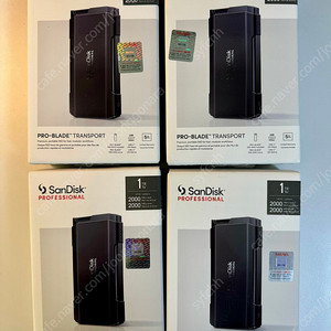 샌디스크 프로페셔널 프로 블레이드 1TB 외장 ssd