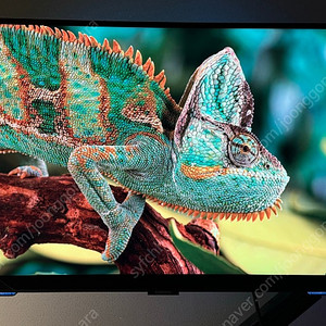 삼성 오디세이 G7 28인치 4k 144hz 게이밍모니터