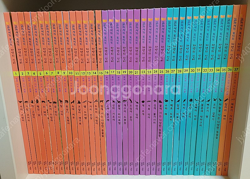 교원 올스토리 - 교과서가 보이는 자연의 신비 (거의 새 책)--0